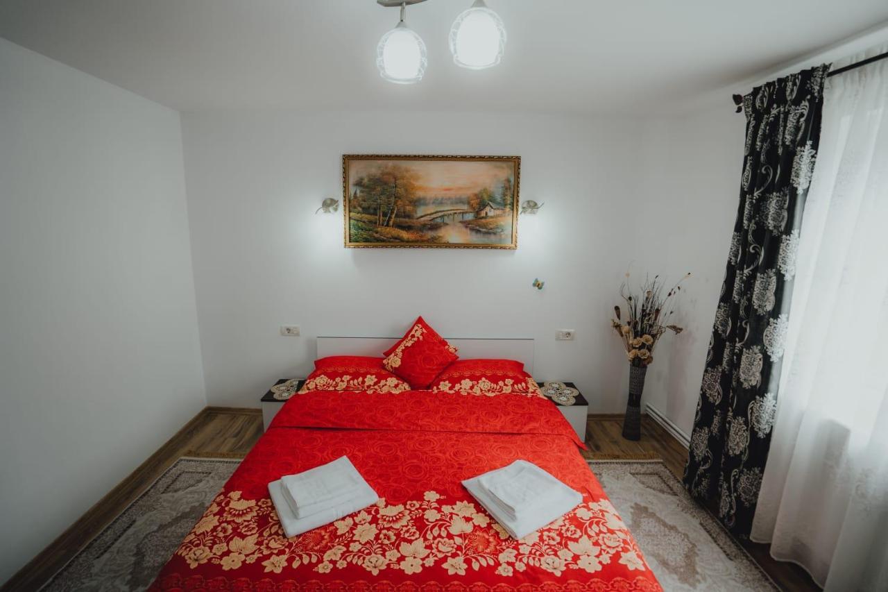 Casa Andreea Si Grigore Ursu Borşa Exteriér fotografie