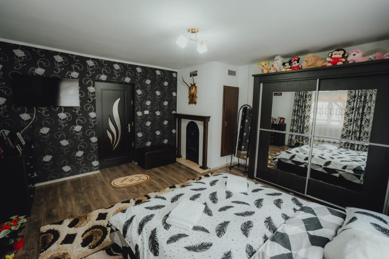 Casa Andreea Si Grigore Ursu Borşa Exteriér fotografie