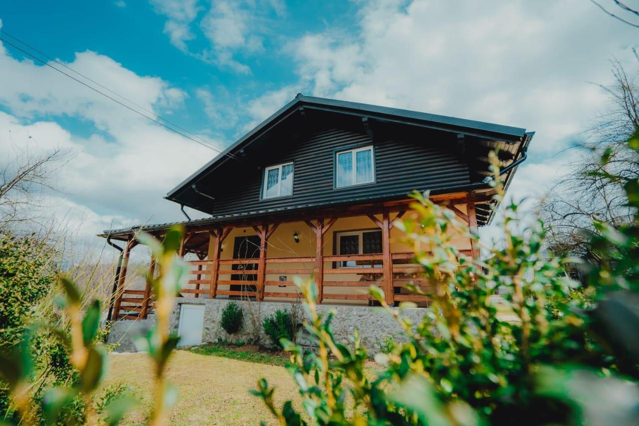 Casa Andreea Si Grigore Ursu Borşa Exteriér fotografie