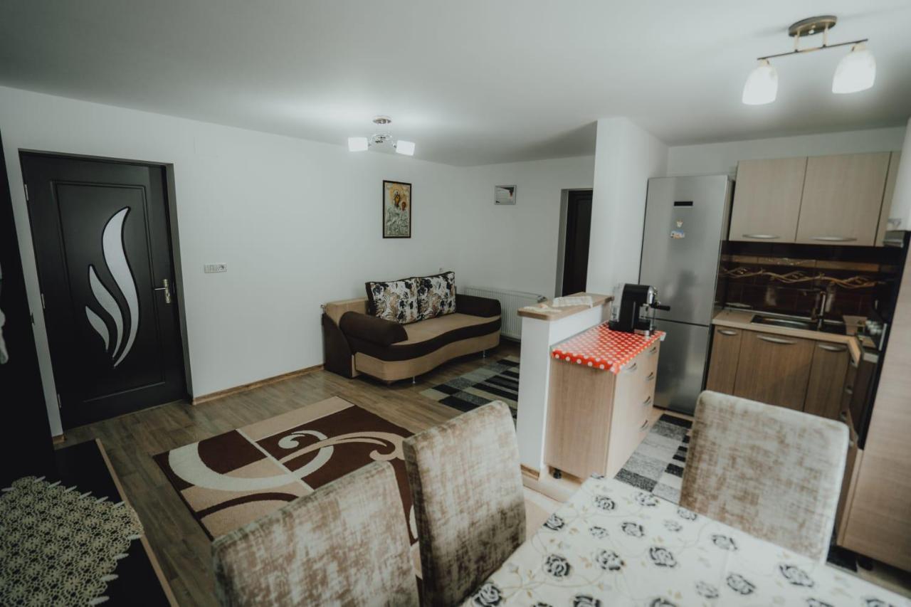 Casa Andreea Si Grigore Ursu Borşa Exteriér fotografie
