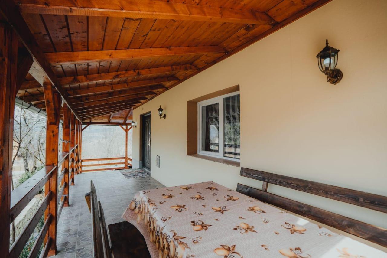 Casa Andreea Si Grigore Ursu Borşa Exteriér fotografie