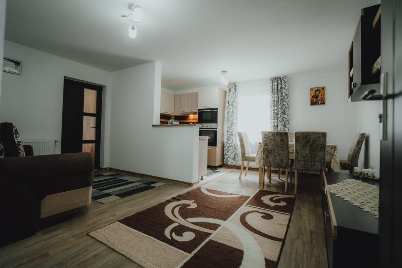 Casa Andreea Si Grigore Ursu Borşa Exteriér fotografie
