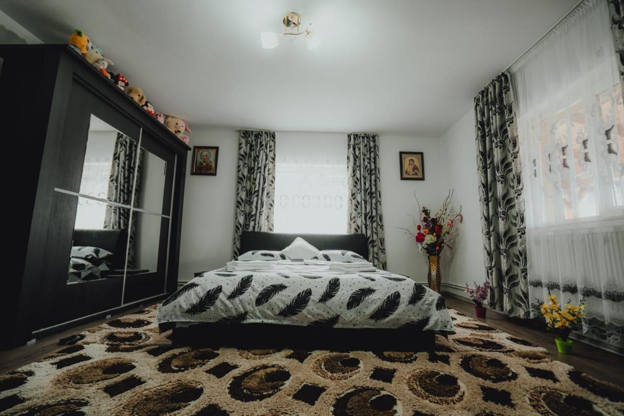 Casa Andreea Si Grigore Ursu Borşa Exteriér fotografie