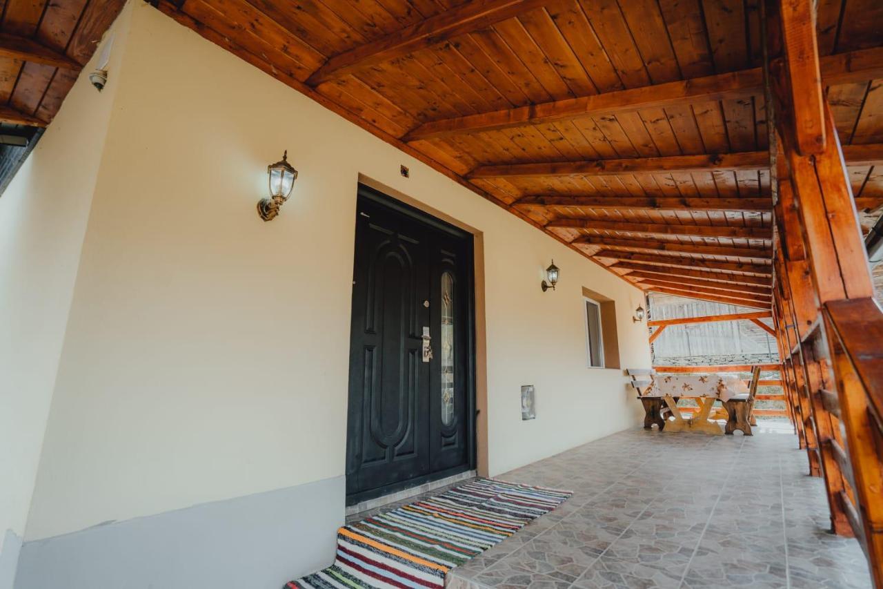Casa Andreea Si Grigore Ursu Borşa Exteriér fotografie