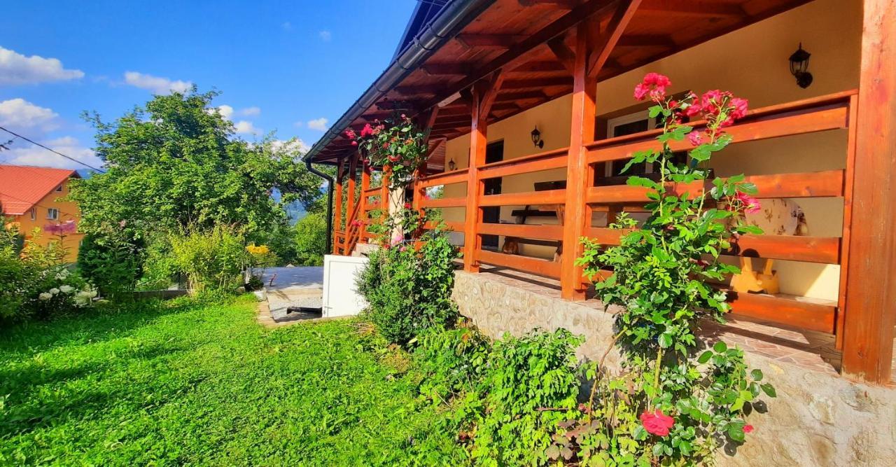 Casa Andreea Si Grigore Ursu Borşa Exteriér fotografie