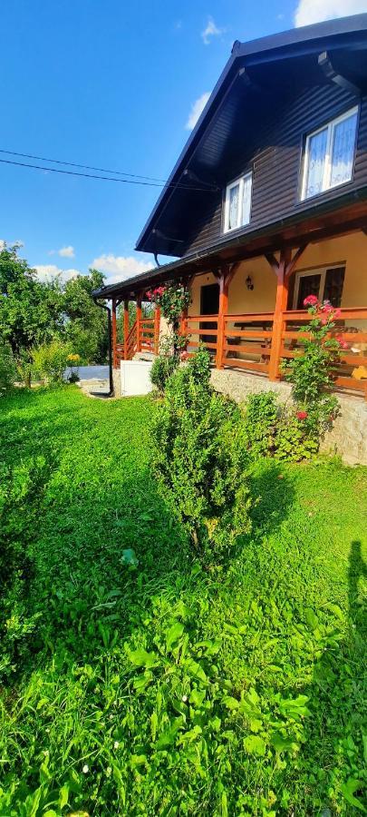 Casa Andreea Si Grigore Ursu Borşa Exteriér fotografie