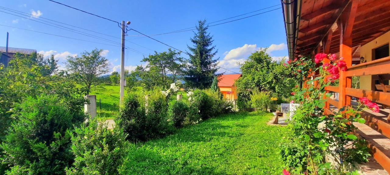 Casa Andreea Si Grigore Ursu Borşa Exteriér fotografie